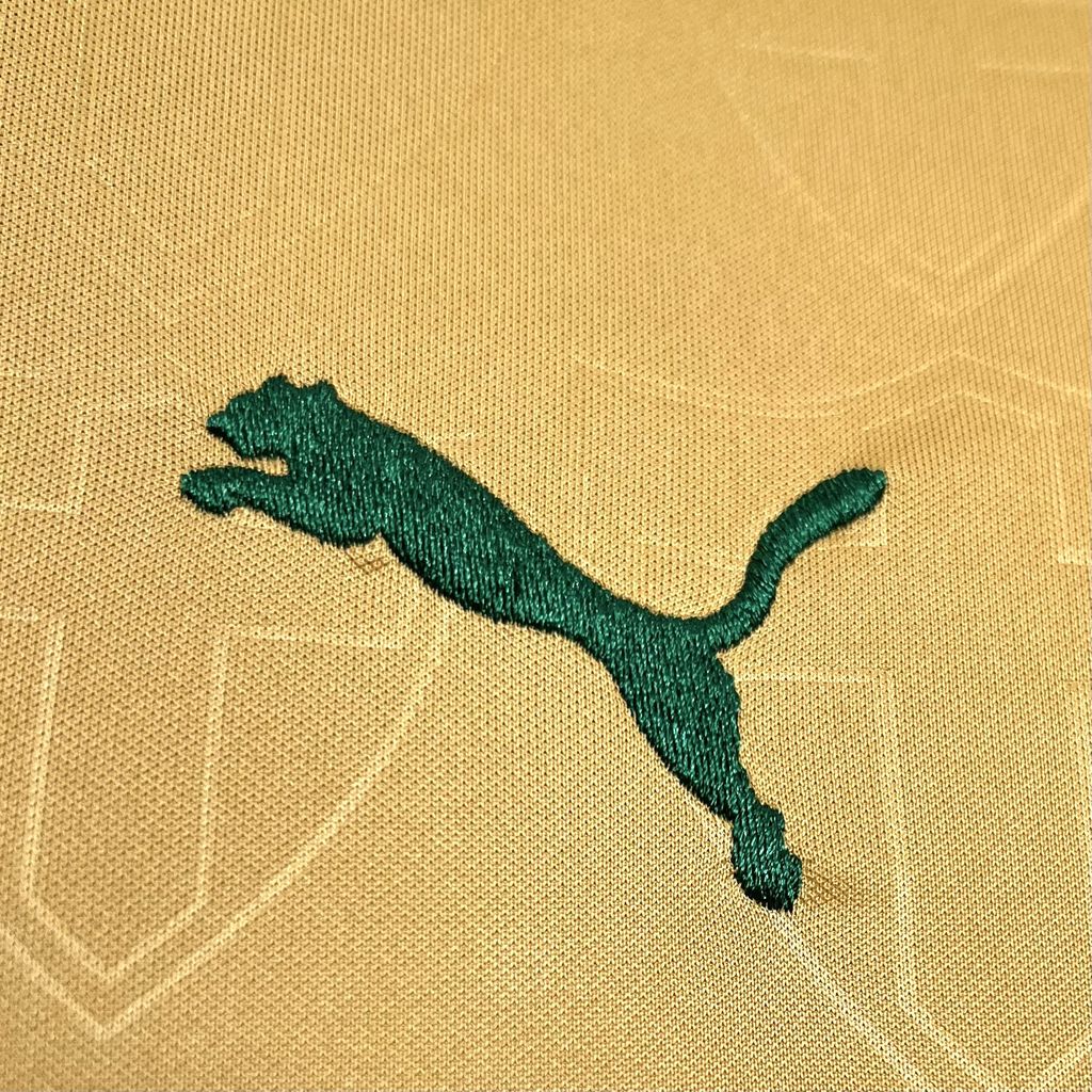 Palmeiras Tercera Camiseta 2024/2025