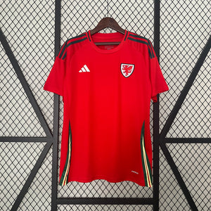 CAMISETA PAIS DE GALES I EURO 2024 HOMBRE - Vitrine Futebolística