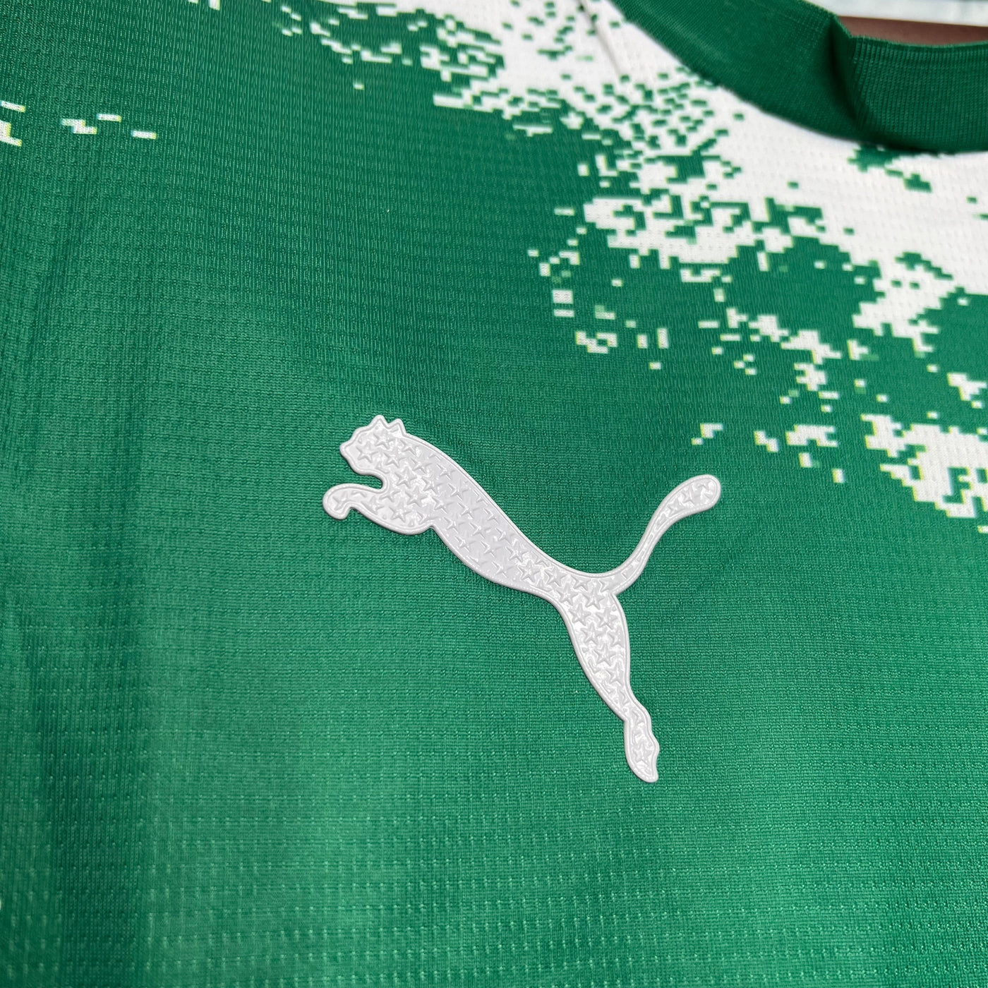 Palmeiras Special Edition II Camiseta 2024/2025