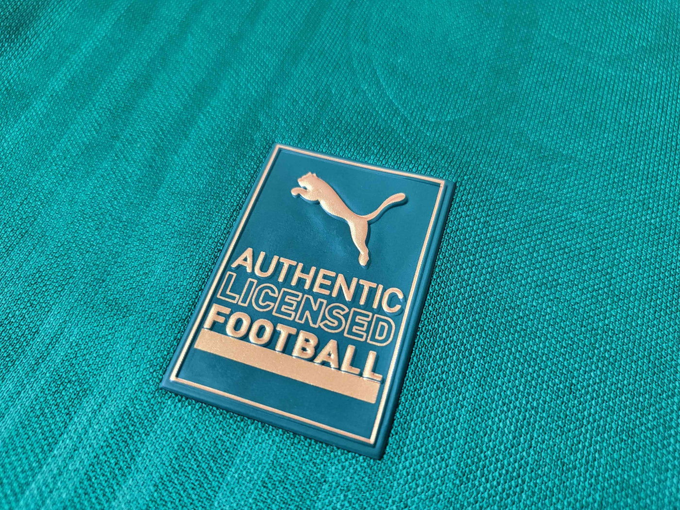 Palmeiras Jugador Titular Camiseta 2024/2025