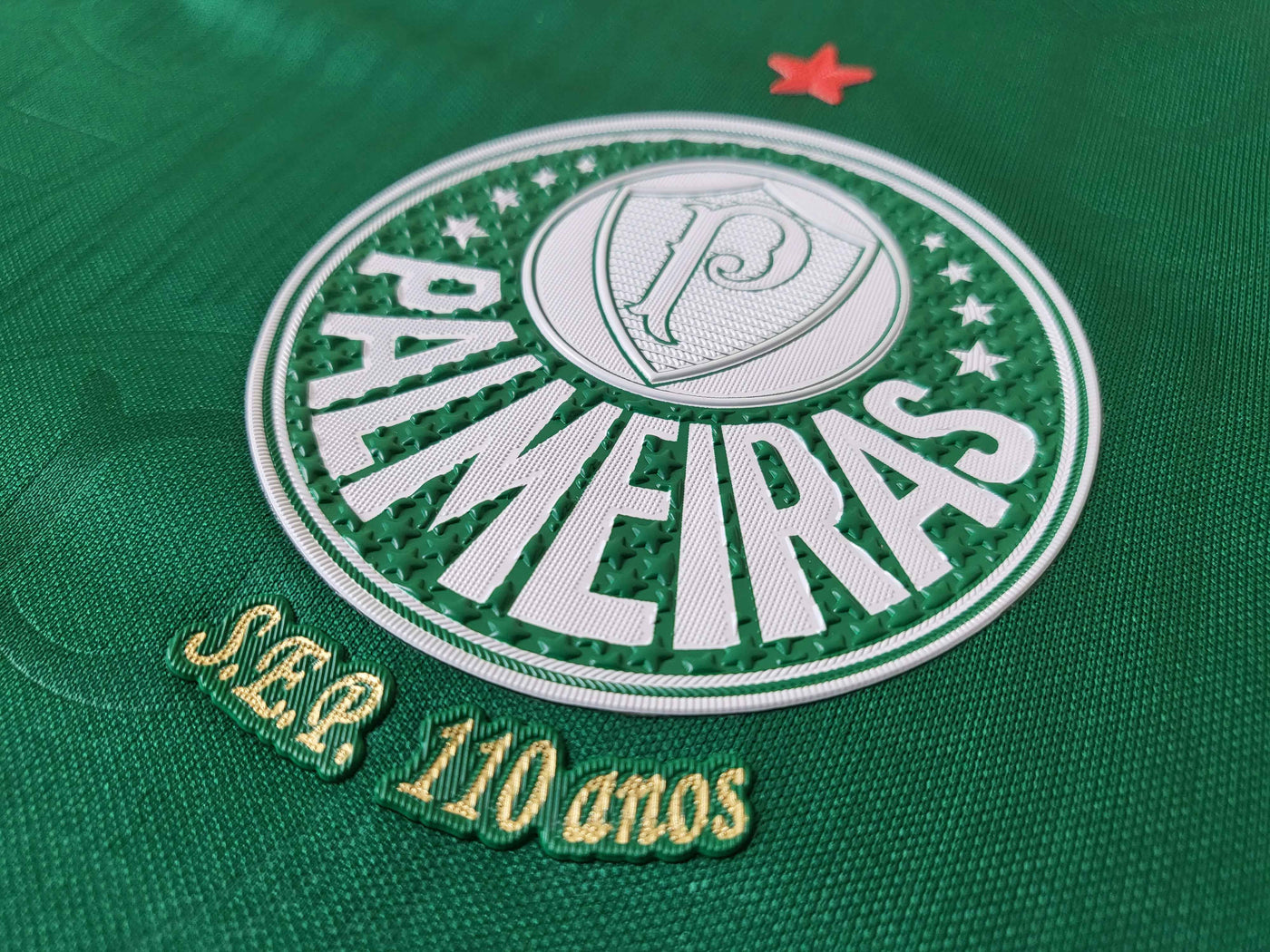 Palmeiras Jugador Titular Camiseta 2024/2025